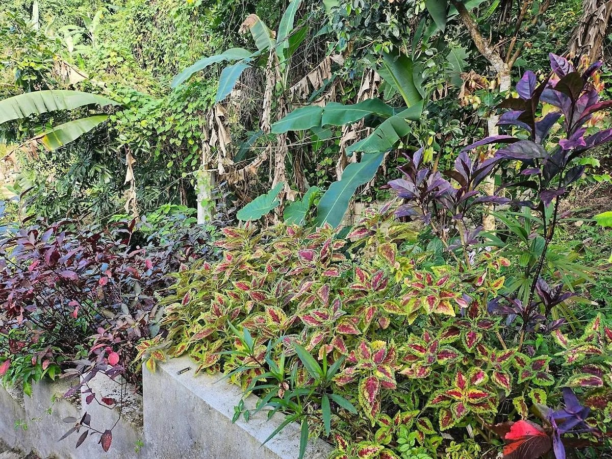 Σπίτι διακοπών Cozy 2Br Port Antonio Retreat With Stunning Sea Views Βίλα